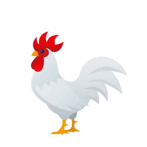 sabung ayam